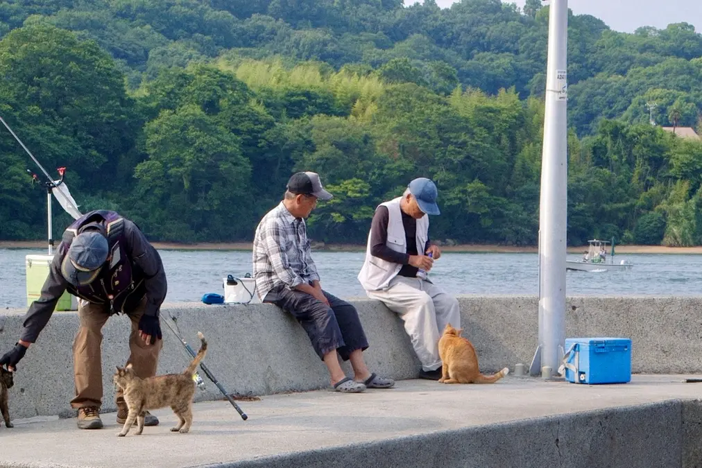 The Cats of Gokogu Shrine di Kazuhiro Soda