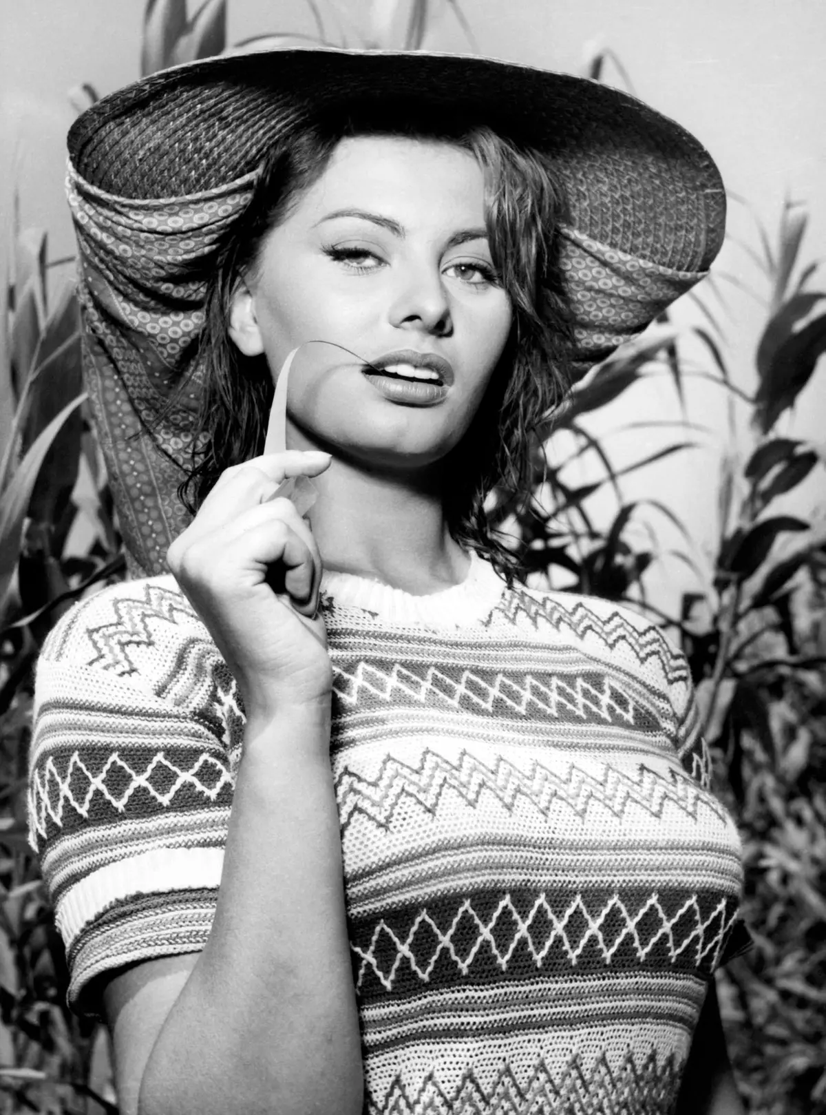 Sophia Loren in La donna del fiume