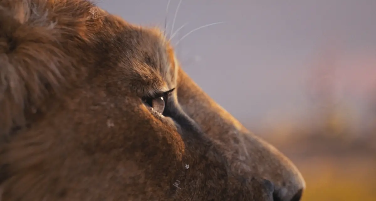 Mufasa: Il Re Leone