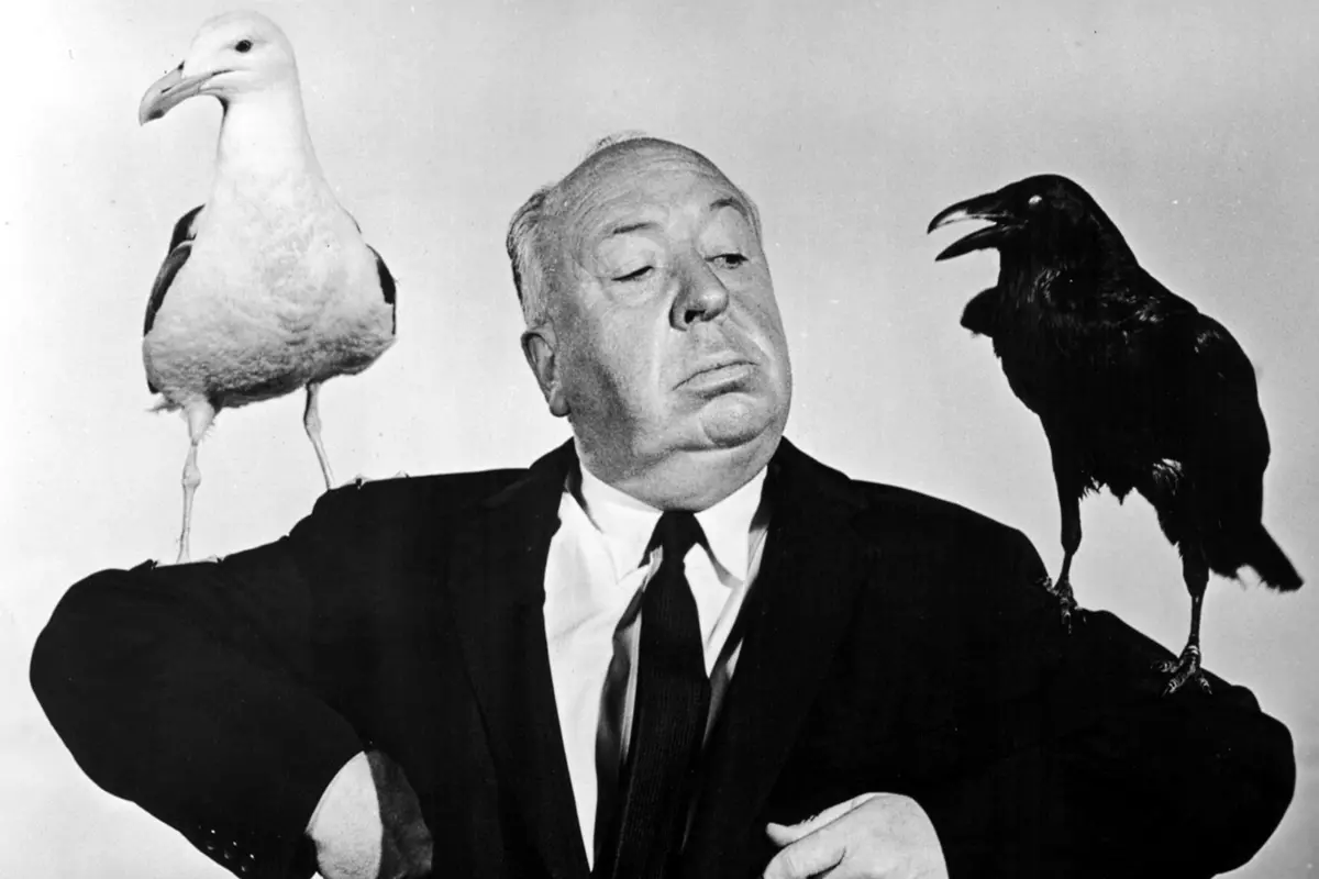 Alfred Hitchcock sul set di Gli uccelli , Annex